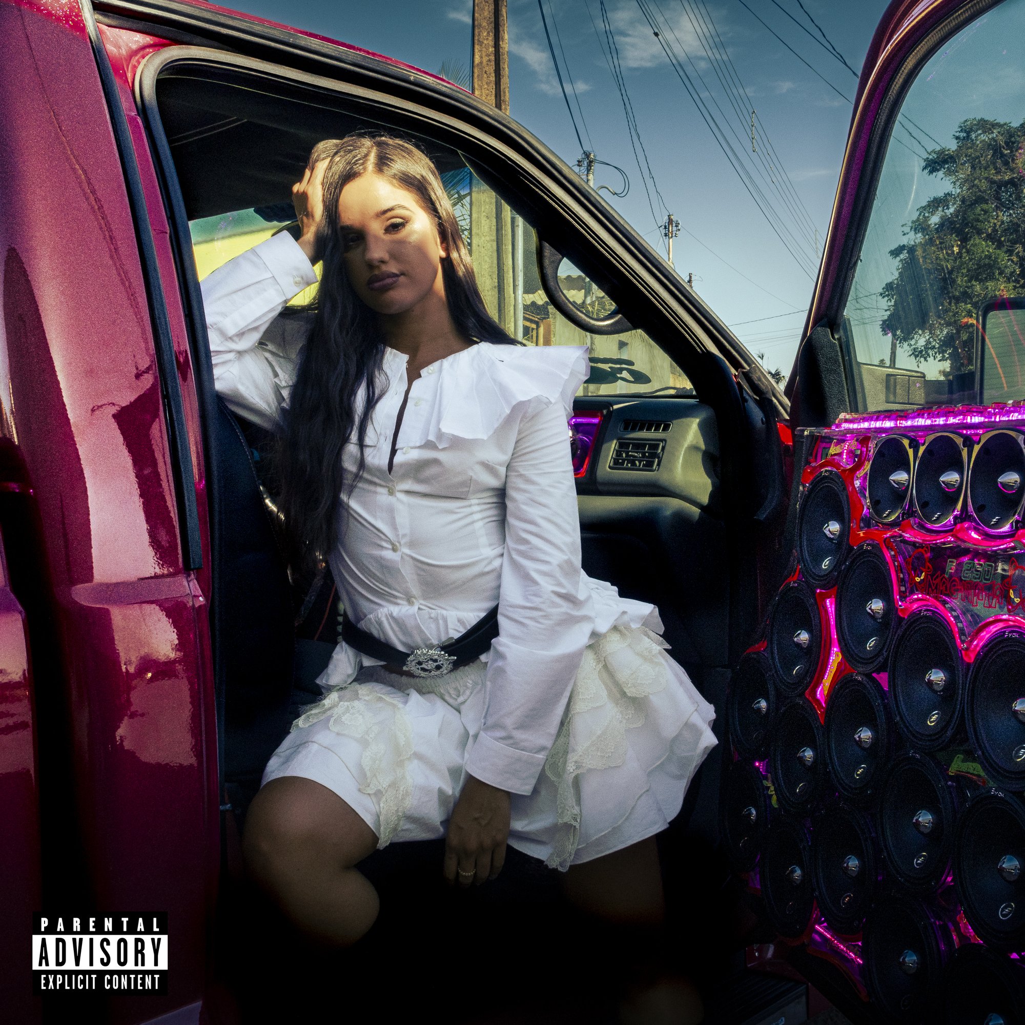 GRINGA - album cover